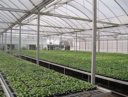 蔬菜麻豆黄色片网站管材配件