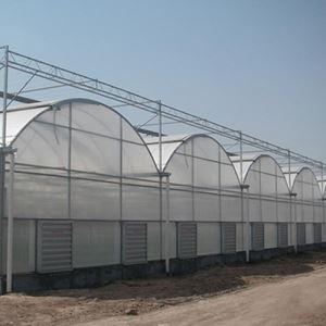 連棟薄膜麻豆黄色片网站