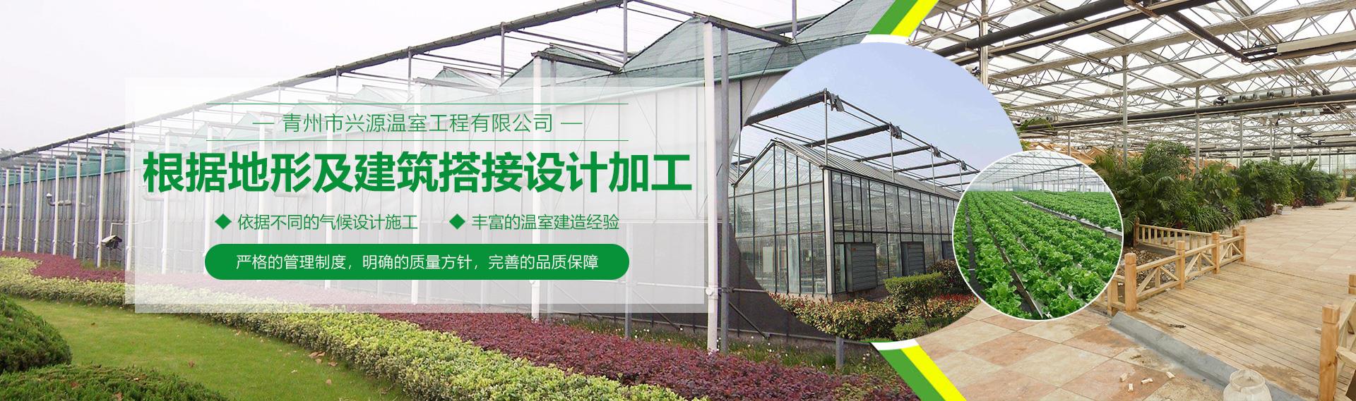 公司麻豆操逼网站