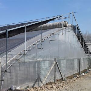 薄膜溫室麻豆黄色片网站