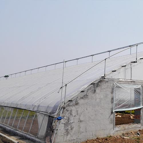 連棟溫室麻豆黄色片网站