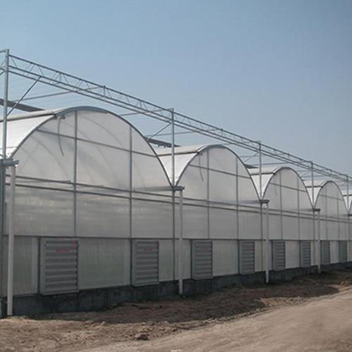 薄膜溫室麻豆黄色片网站