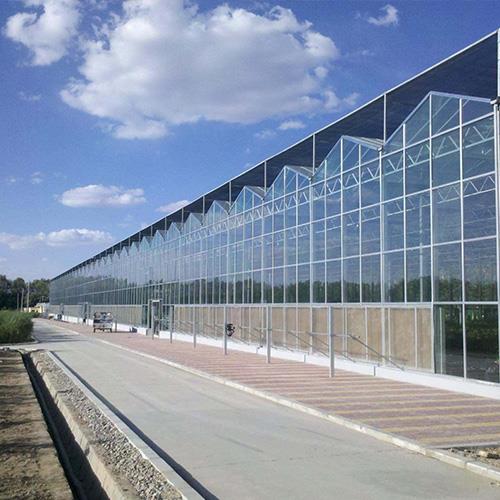 智能溫室麻豆黄色片网站建設